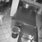 Arrestato_il_ladro_%27gattonator