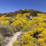 Guida_ai_percorsi_di_trekking_