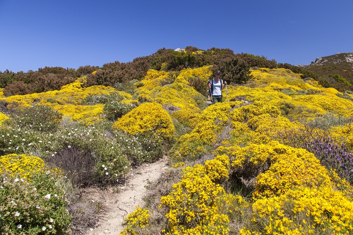Guida_ai_percorsi_di_trekking_